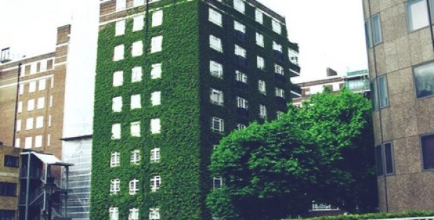 construct sgd green building