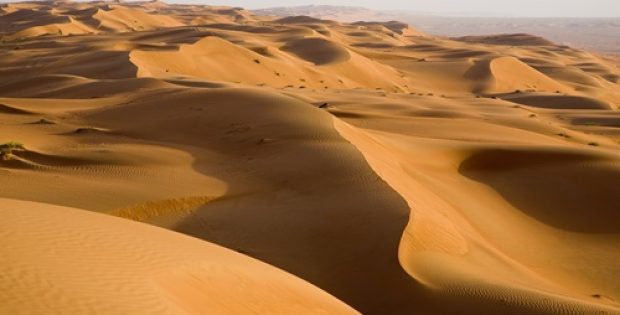 Mineral sands producer