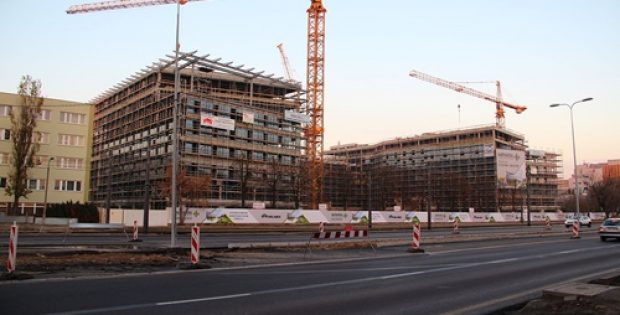 nz-gov-national-loggerheads-construction